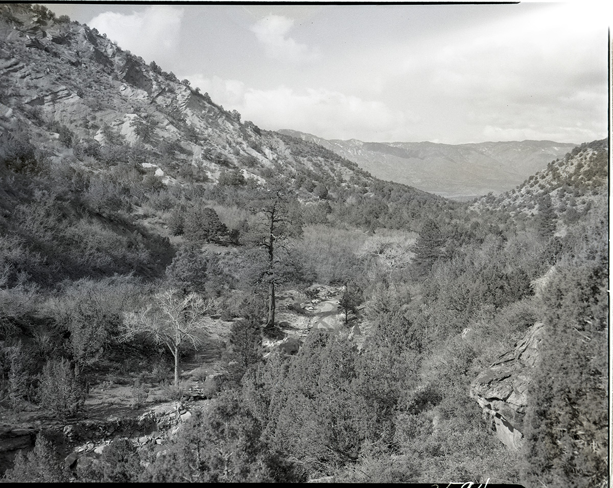 Looking west down Taylor Creek towards Pine Valley Mountains - for proposed road construction. [Kolob Canyon]