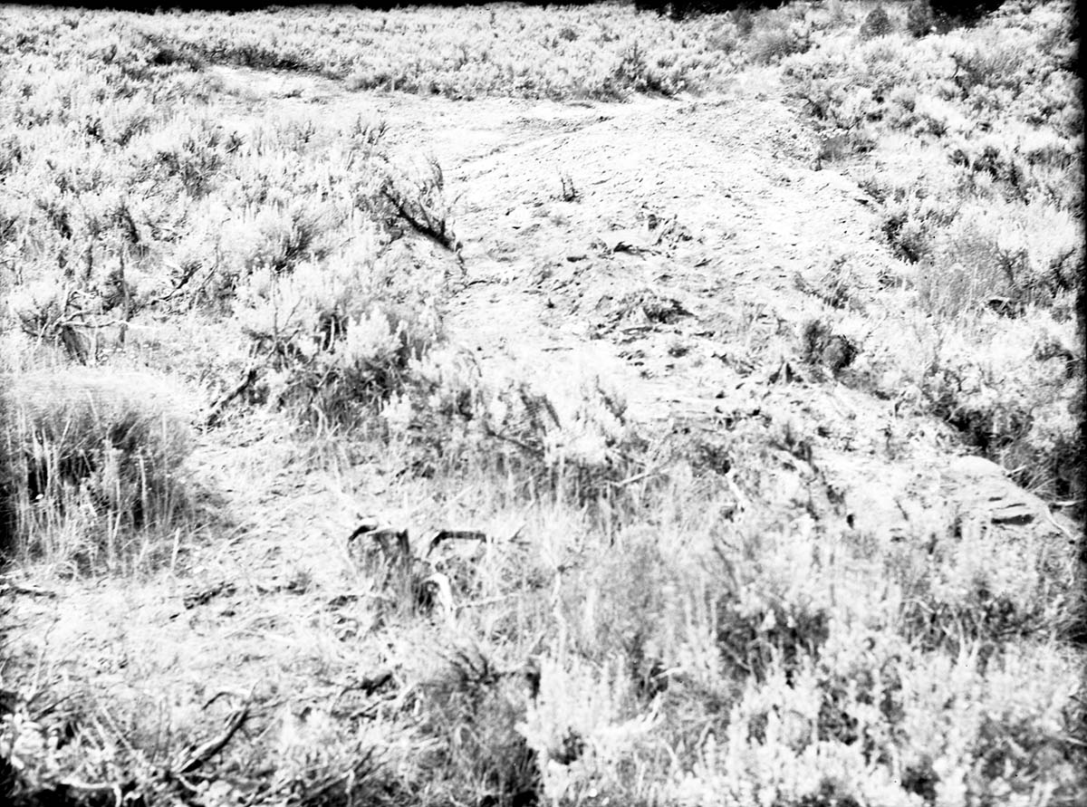 Detention dam near sawmill on East Rim. 40 cubic yards of material, drains 20 acres.