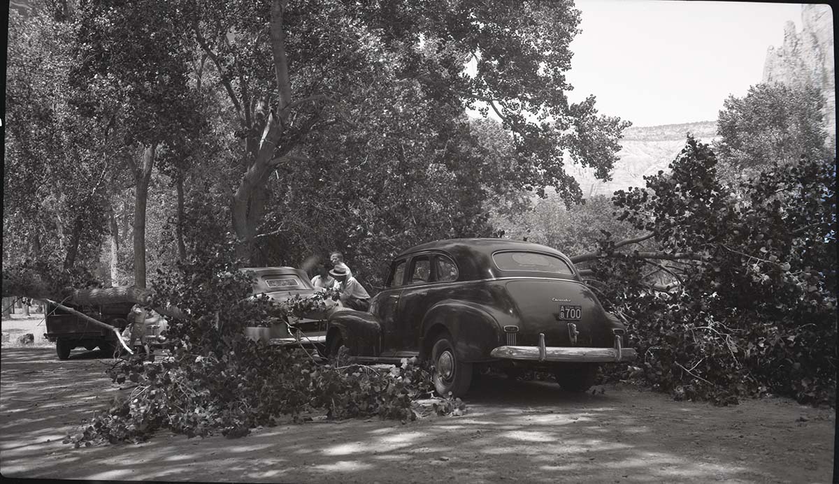 Accident at Zion Lodge