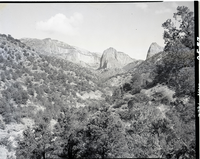Looking up Taylor Creek from Hurricane fault - for proposed road construction. [Kolob Canyon]