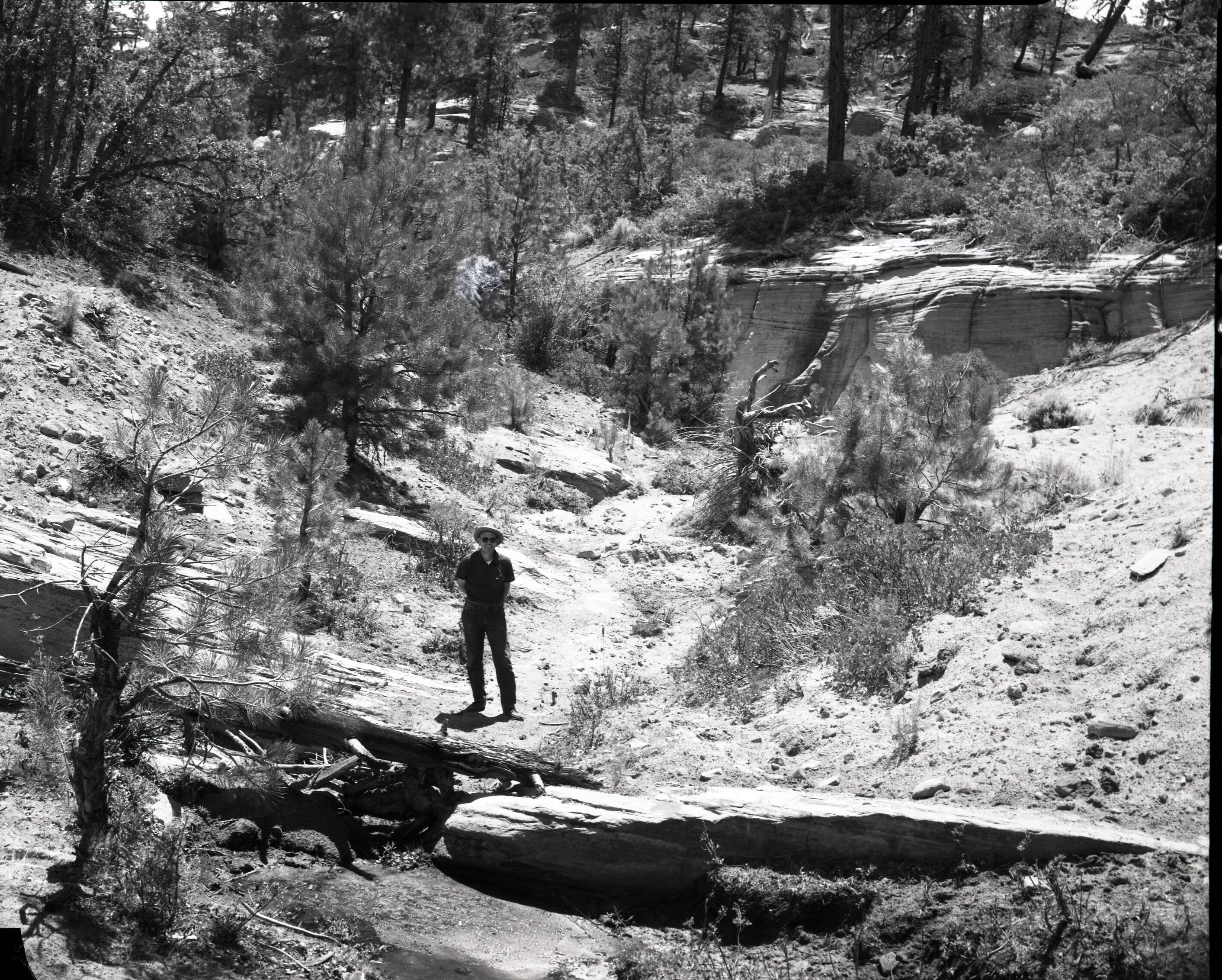 Vandalism of natural resources at Neck Spring, 50 yards below the spring. Water matters involving Evan S. Lee.