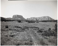 BW photo of the 1937 grazing study - 4x5.