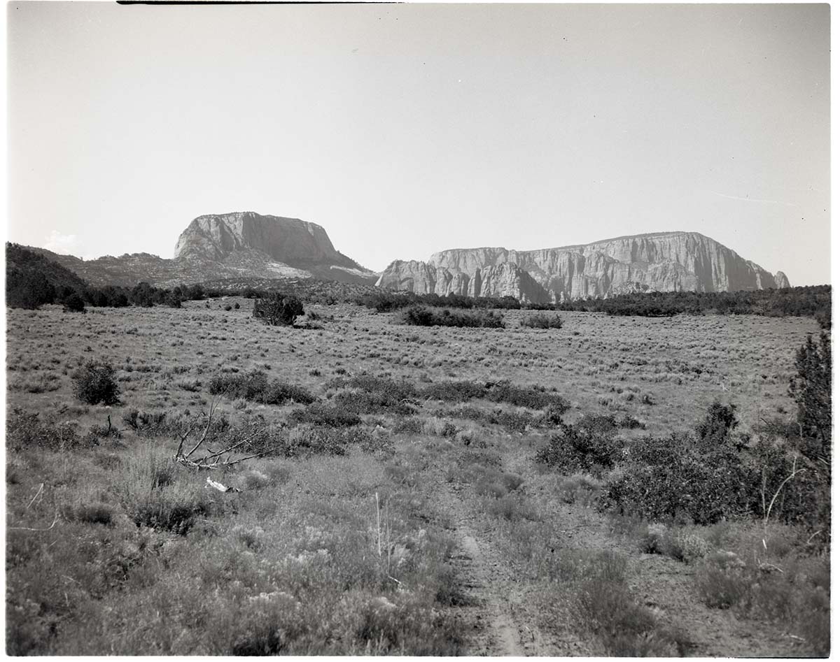 BW photo of the 1937 grazing study - 4x5.