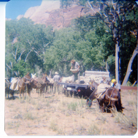 Horse pack-train being prepared to head to the East Rim trail for trail maintenance work.