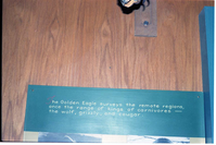 Color Photos of the old visitor center exhibits.