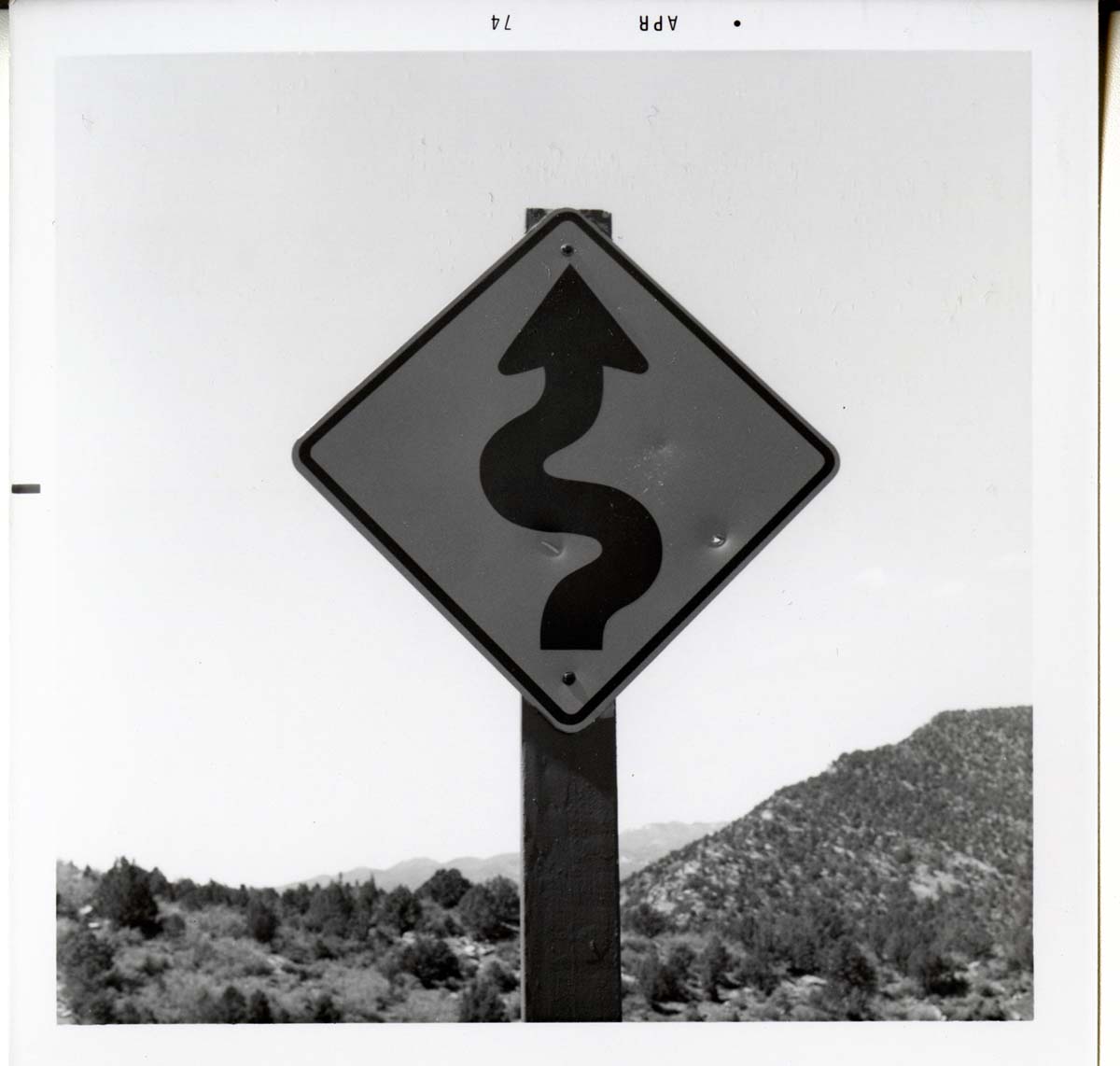 Winding road ahead in Kolob Canyon.