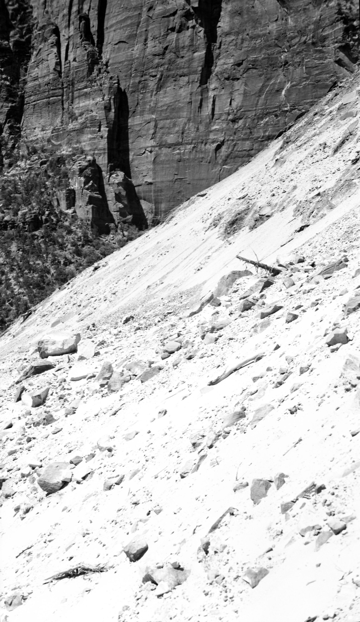 Rock fall in Birch Creek, destruction from concussion blast 250 yards from slide.