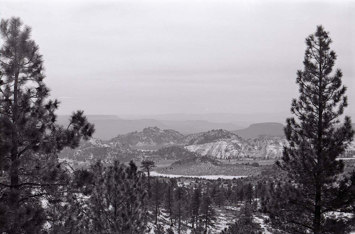 BW photo of the 1937 grazing study 35MM. Photo looking into Lee Valley.