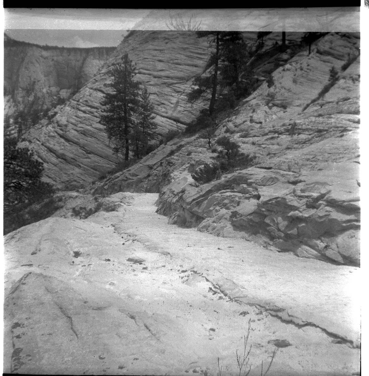 General view of the East Rim trail.