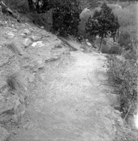 The Emerald Pool trail reconstruction.