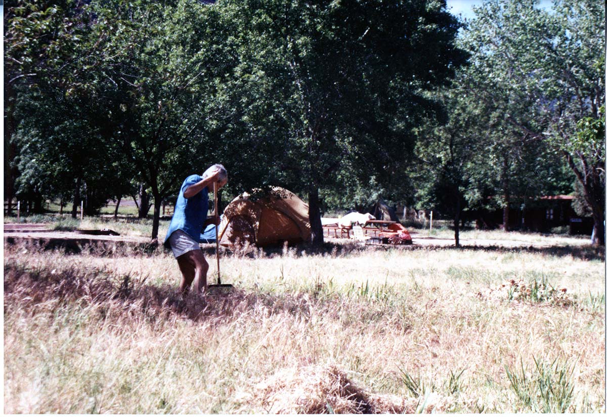 NPS employee picking up litter in campground area.