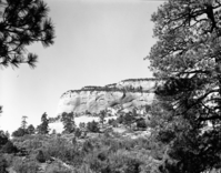 Checkerboard Mesa with the Zion-Mt. Carmel Highway in foreground.
