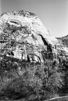 BW Photos of general interior views of Zion Canyon - 35mm.