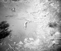 BW photos of rock slides in Kolob Canyons - 110mm.