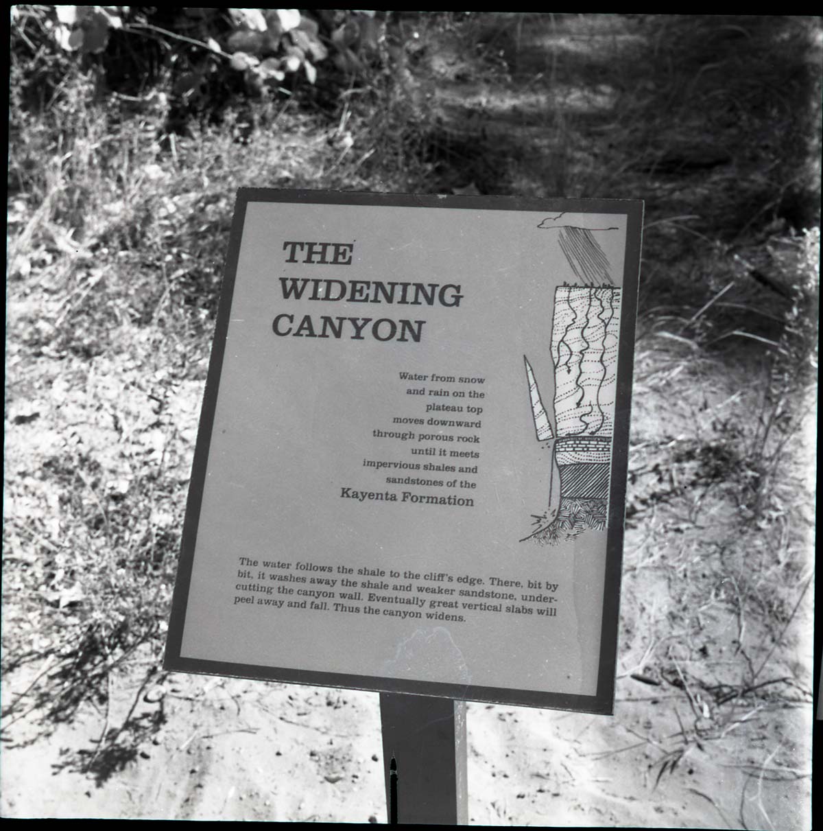 BW Photos of trailside exhibits.