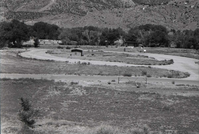 Road winding through the Watchman Campground.