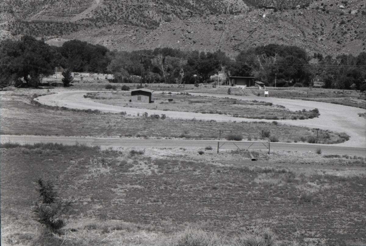 Road winding through the Watchman Campground.