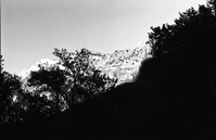 BW Photos of general interior views of Zion Canyon - 35mm.