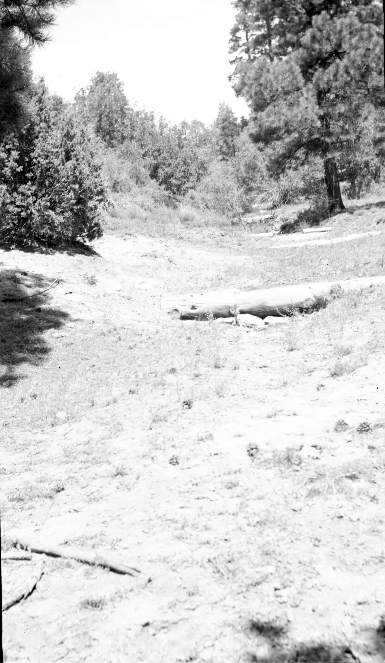 Detention dams, Potato Hollow, constructed 1950, have completely filled with sediment; water table raised, continued grazing hinders permanent establishment of grasses.
