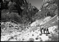 Inspection trip into Kolob area of Langston Canyon where Evan Lee proposed building road to top of mountain to remove timber.