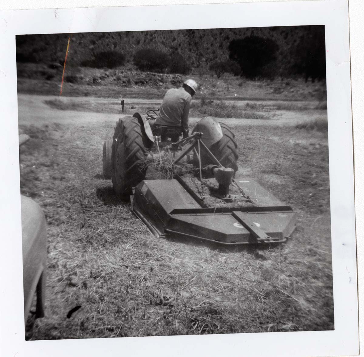 Park employee mowing on the tractor.