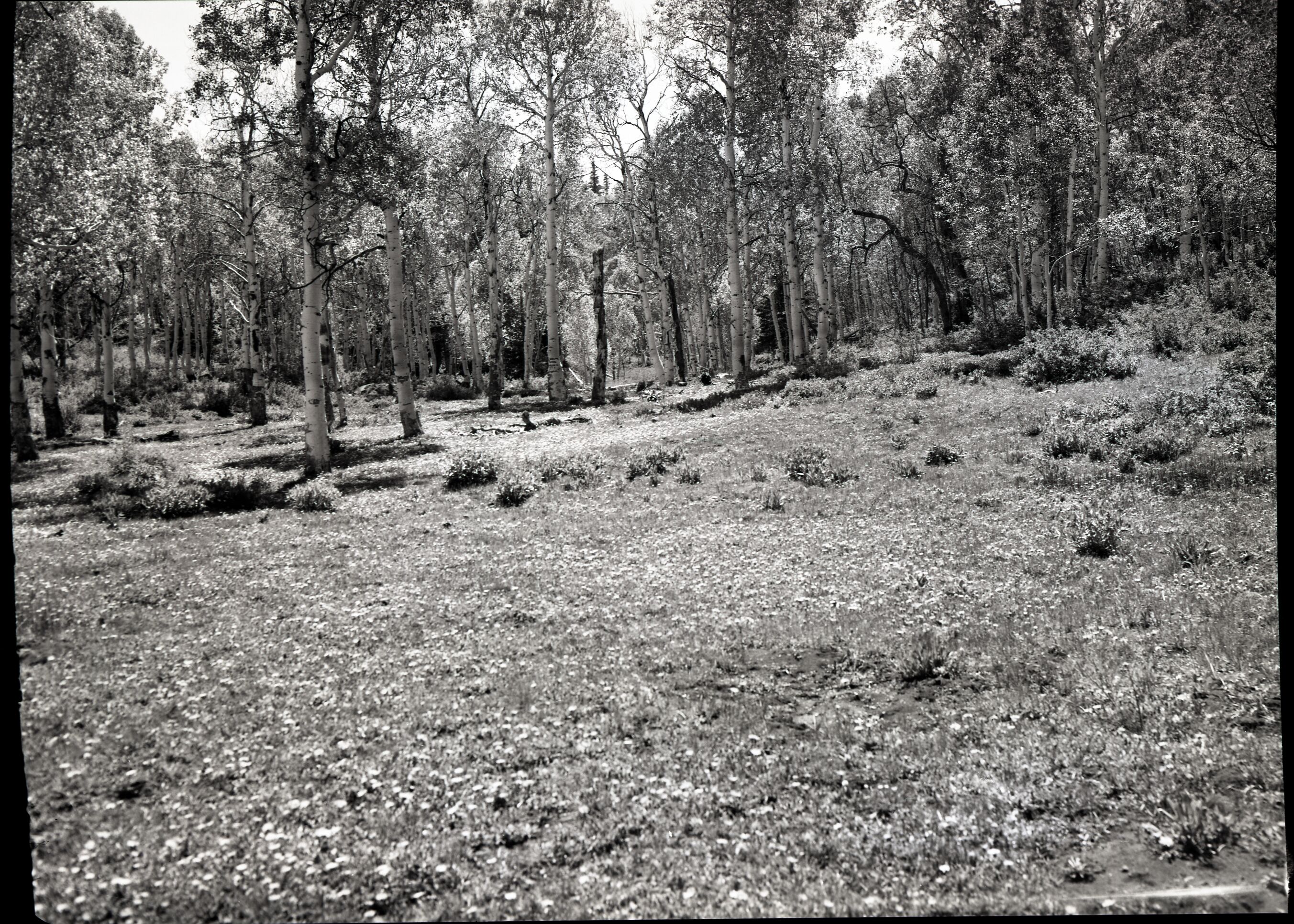 Developments on private land within Zion National Park near Lava Point.