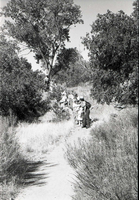 BW Photos of Junior Ranger Activities in Zion.