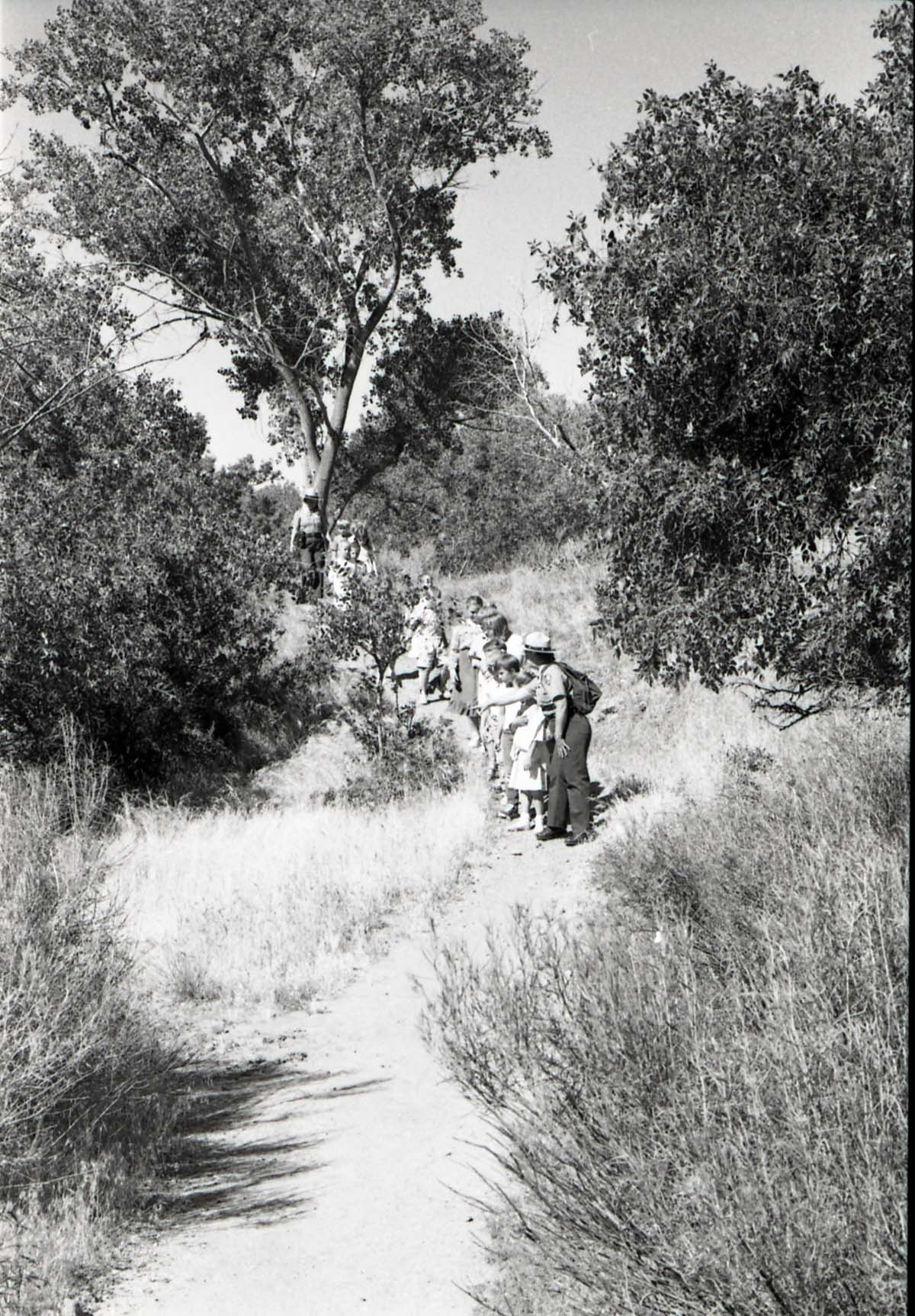 BW Photos of Junior Ranger Activities in Zion.