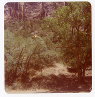 Construction equipment for Wiley Tank being transported on tramline.