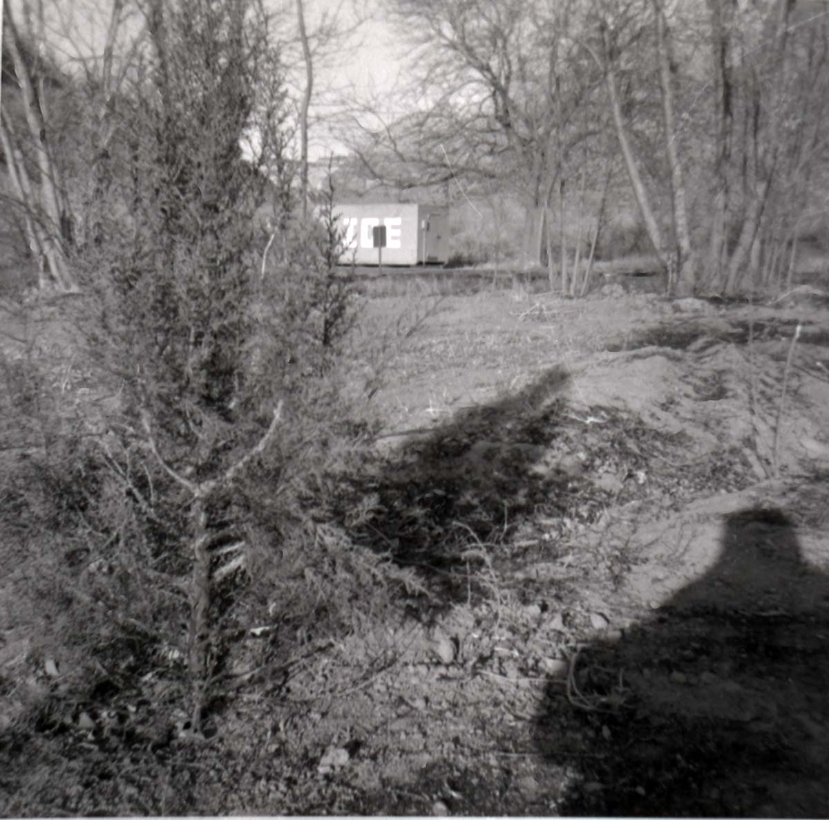 Ice shed with surrounding trees in the South Campground.