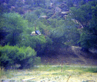 The Temple of Sinawava spring project - scaffolding construction and use.