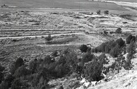 BW photos of rock slides in Kolob Canyons - 35mm.