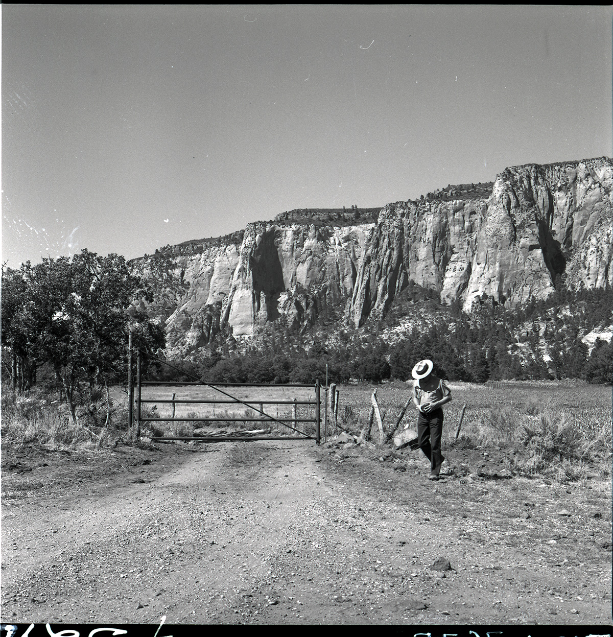 Road leading from Kolob Reservoir to Hop Valley.