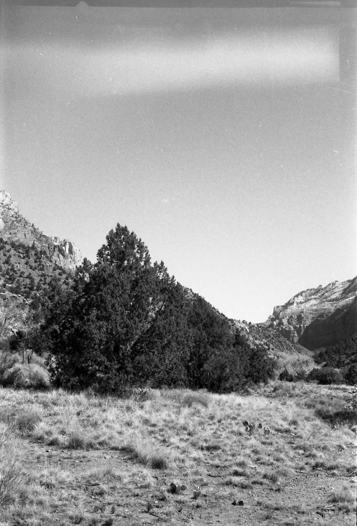 BW Photos of general interior views of Zion Canyon - 35mm.