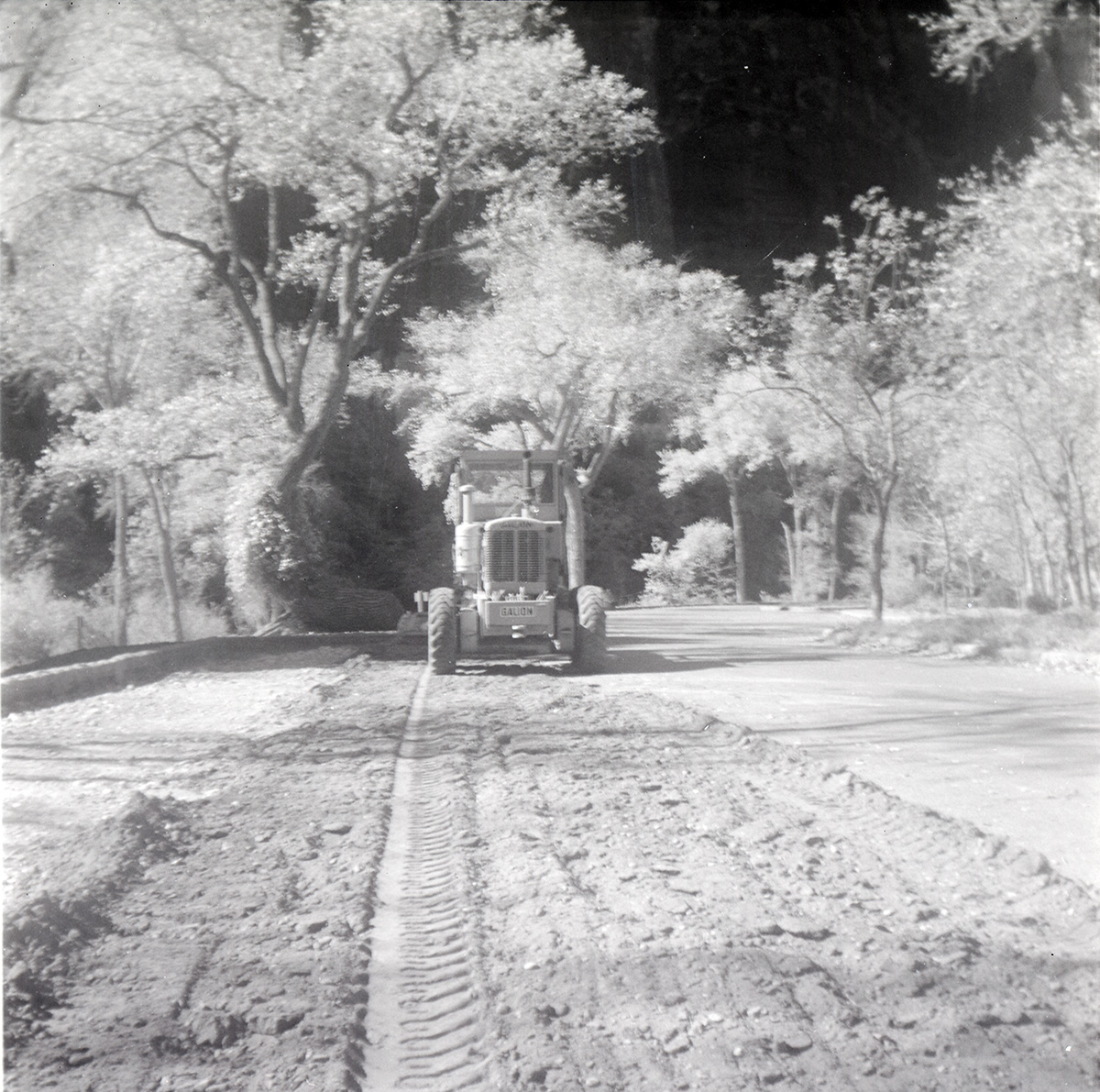 Tractor leveling road for construction near the Temple of Sinawava.