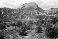 BW photo of the 1937 grazing study 35MM.