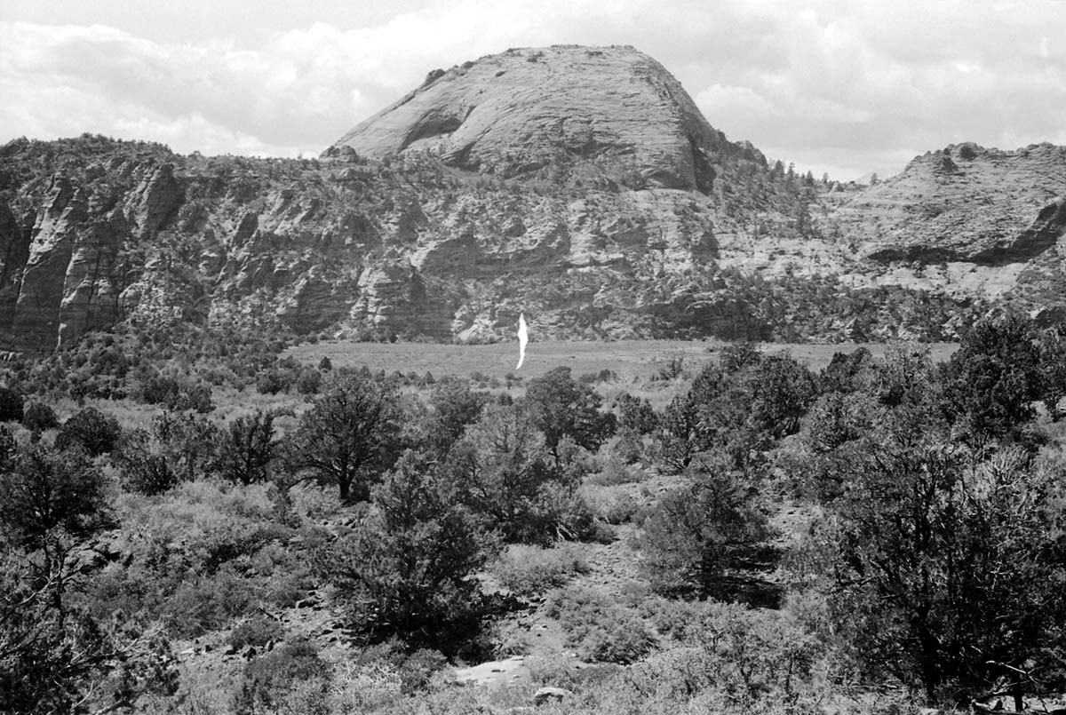 BW photo of the 1937 grazing study 35MM.