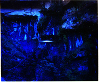 Color Photos of seeps and springs in Zion.