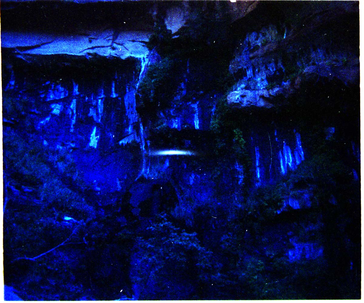 Color Photos of seeps and springs in Zion.