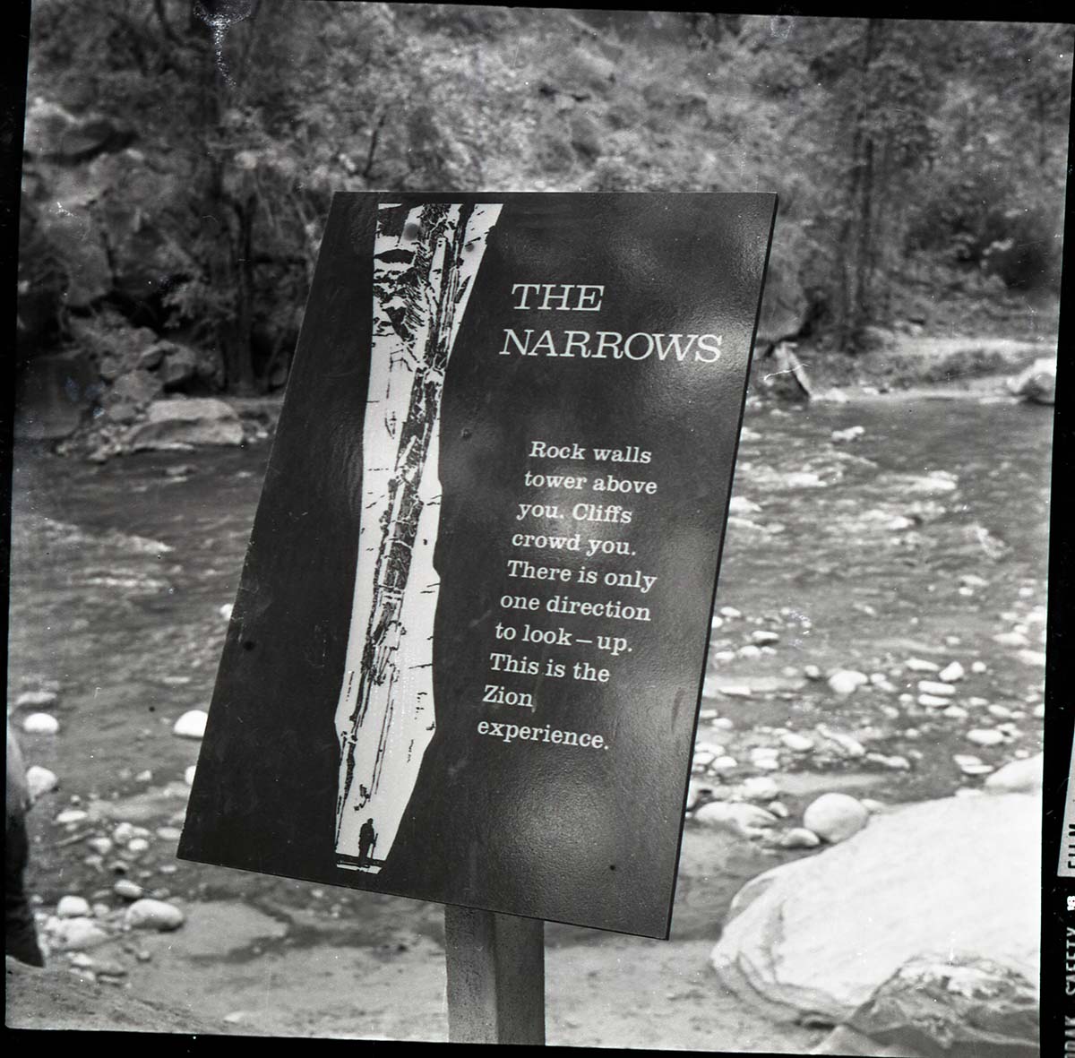 BW Photos of trailside exhibits.