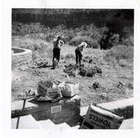 NPS employees clearing and removing brush.