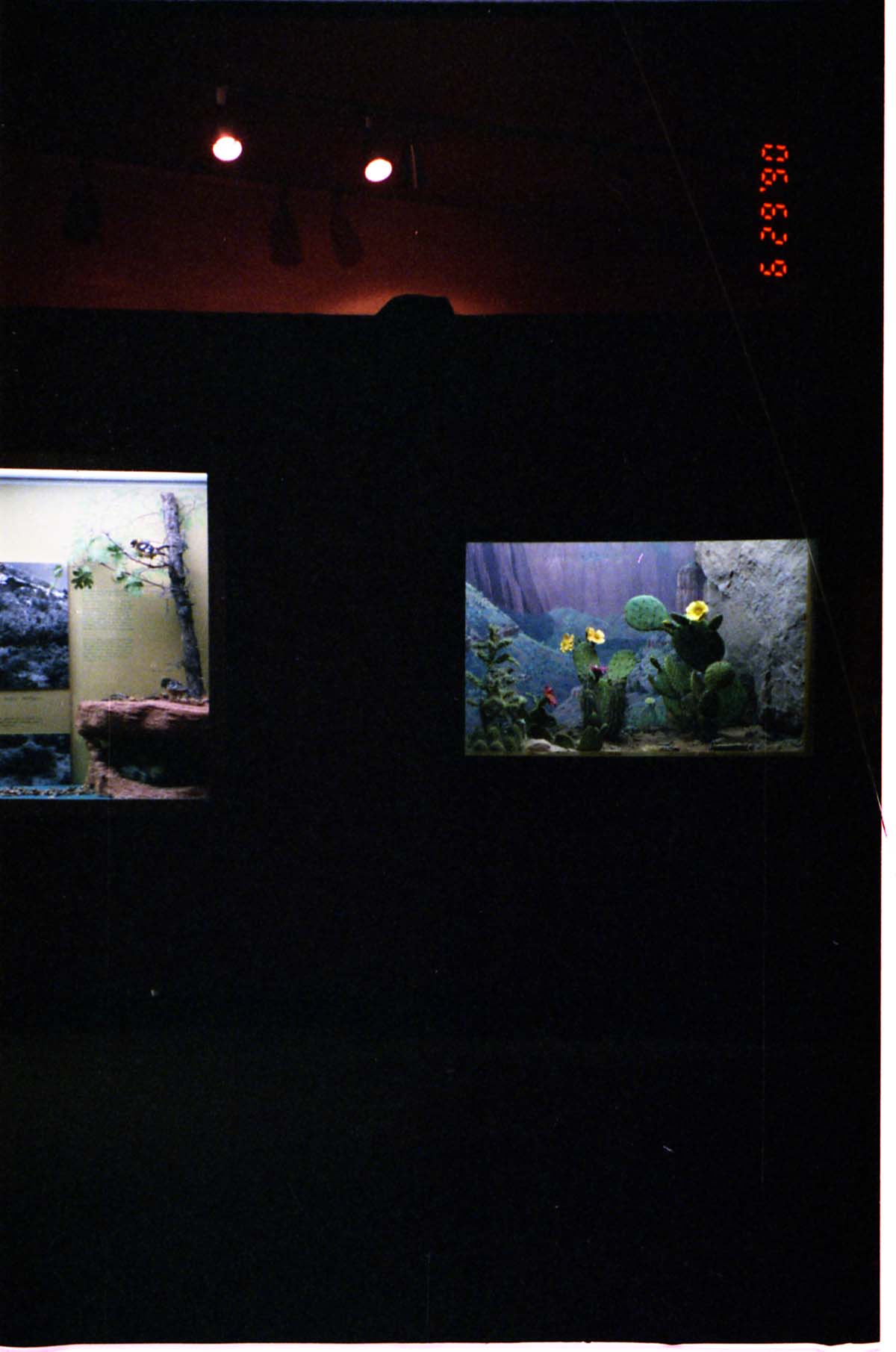 Color Photos of the old visitor center exhibits.