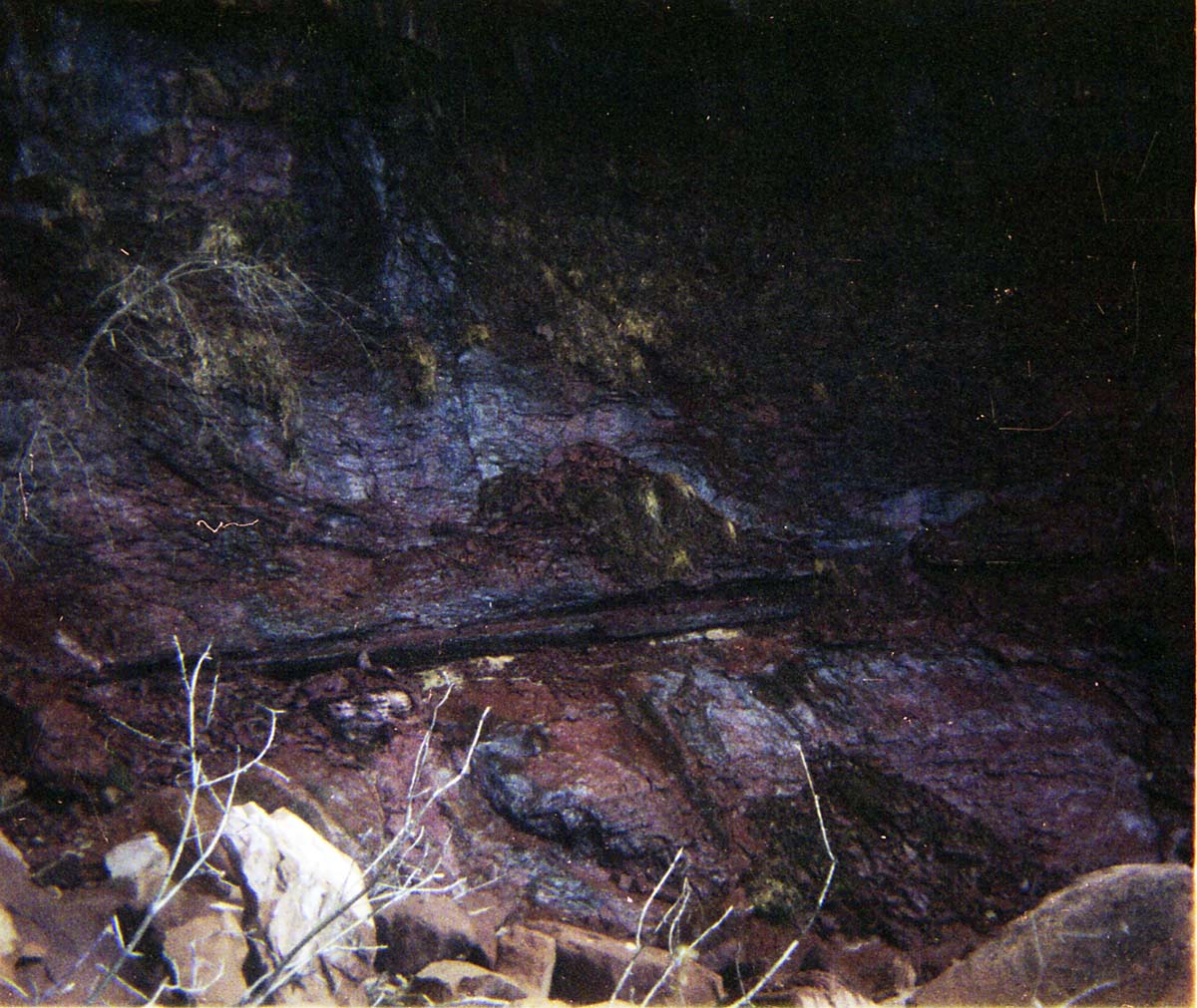 Color Photos of seeps and springs in Zion.