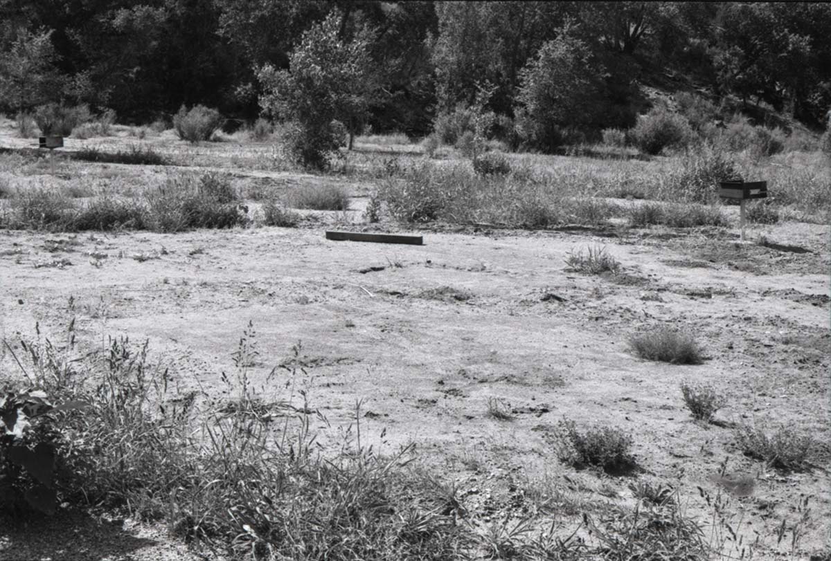 Camp site at Watchman Campground.