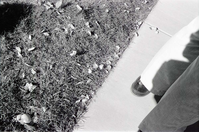 BW Photos of the Zion Lodge Rededication Ceremony.