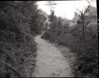 Completed paving of West Rim Trail near shelter cabin.