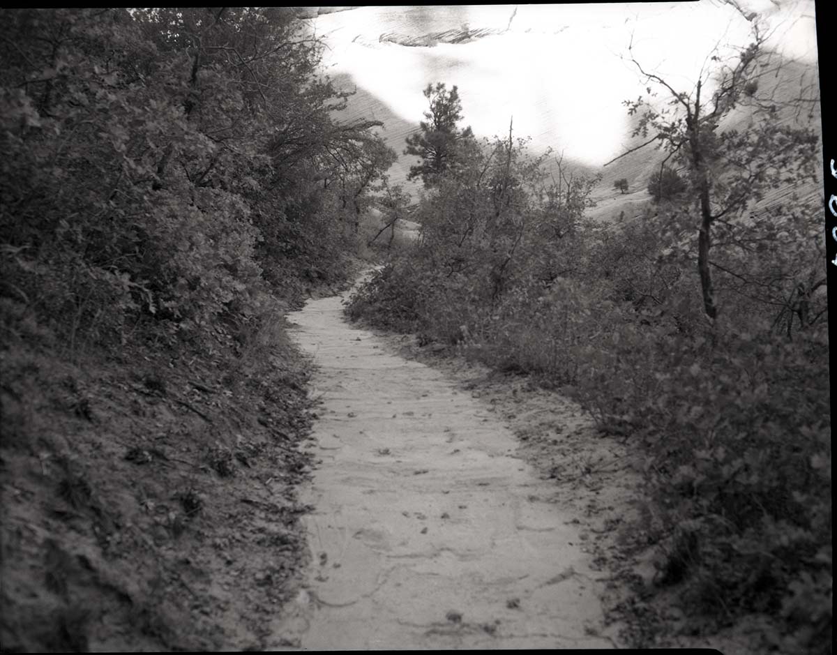 Completed paving of West Rim Trail near shelter cabin.