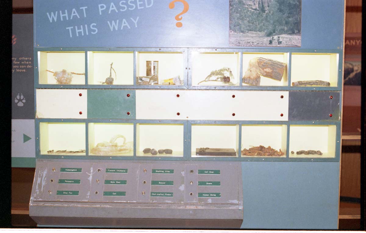 Color Photos of the old visitor center exhibits.