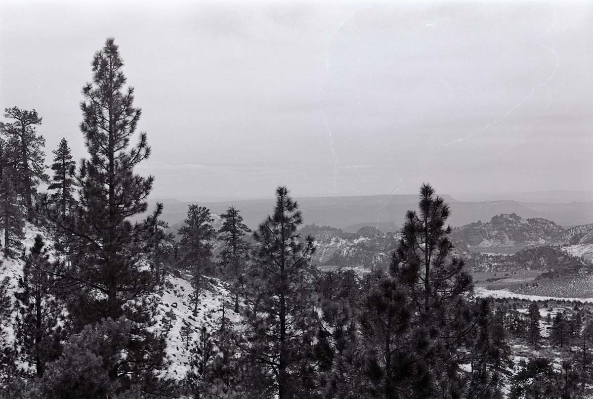 BW photo of the 1937 grazing study 35MM.