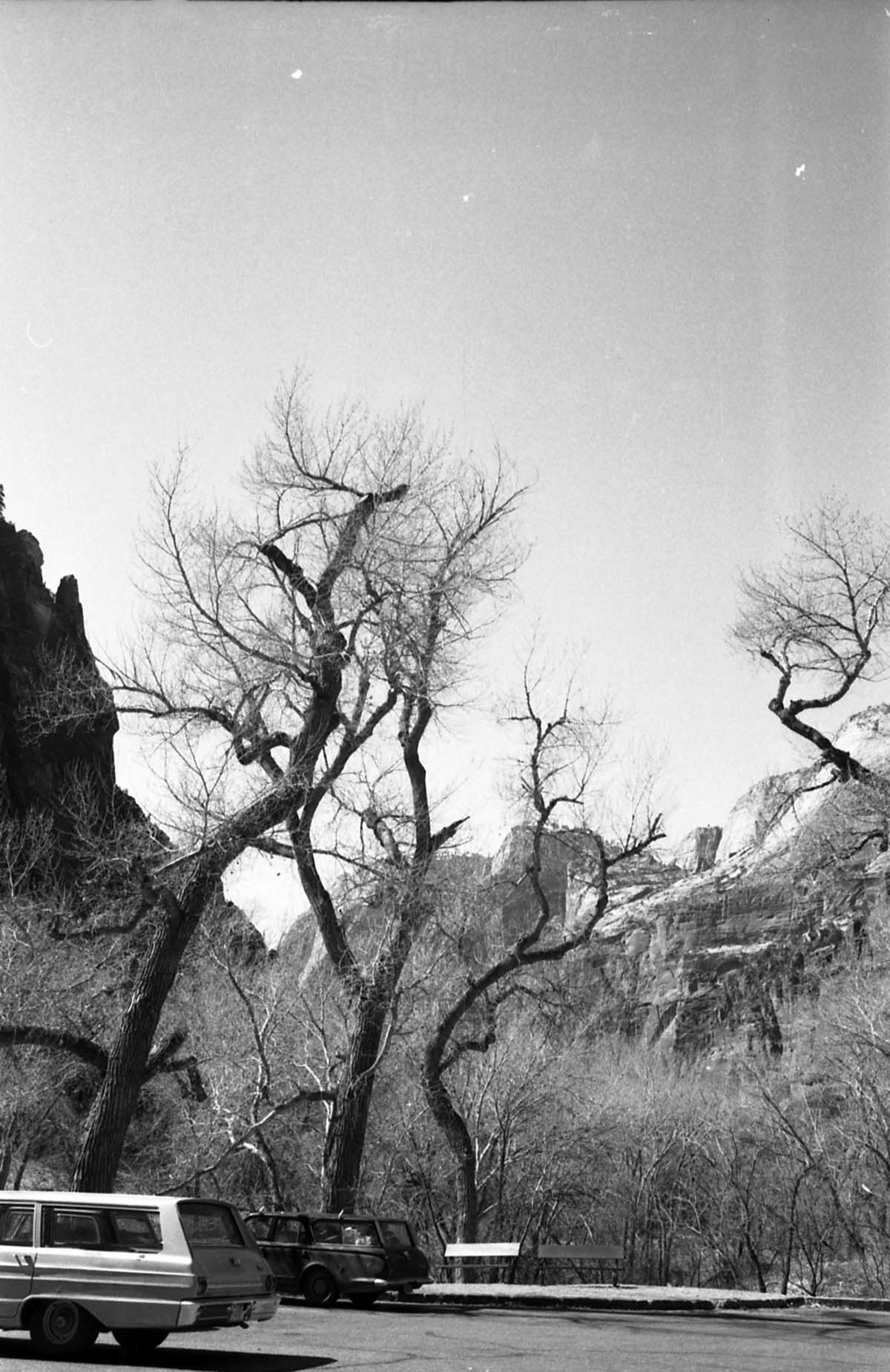 BW Photos of Zion Canyon. 35mm.